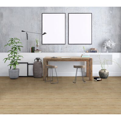 Carrelage intérieur sol et mur beige effet bois l.30 x L.60,3 cm Roy Beige