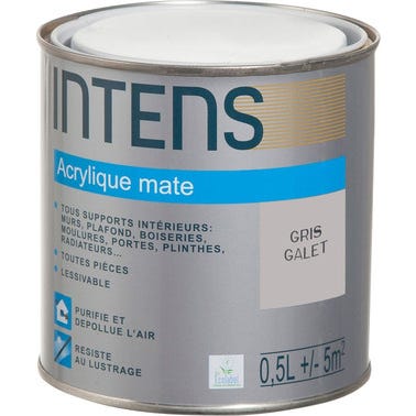 Peinture intérieure multi-supports acrylique monocouche mate gris galet 0,5 L - INTENS 0
