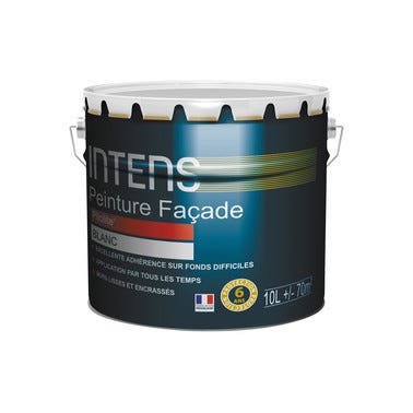 Peinture Facade Pliolite Blanc 10 L Intens Bricoman