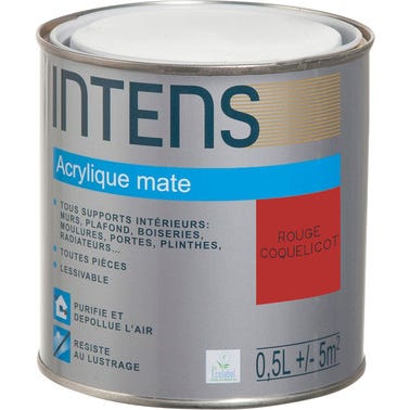 Peinture intérieure multi-supports acrylique monocouche mate rouge coquelicot 0,5 L - INTENS 0