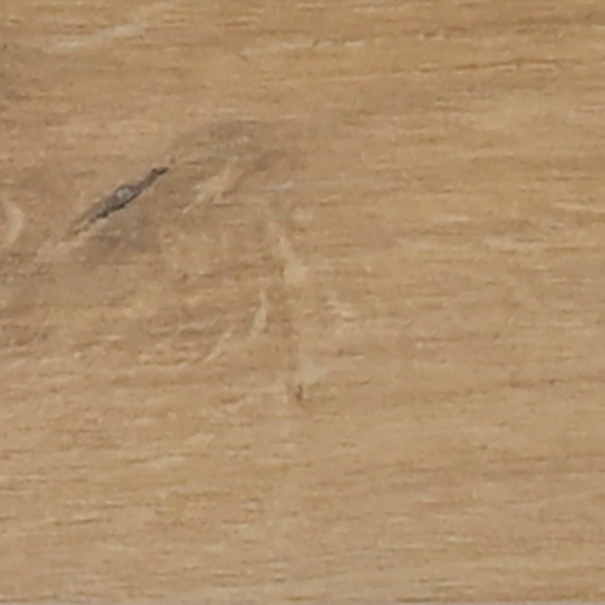 Plinthe carrelage effet bois H.7 x L.60 cm - Sandwood beige (lot de 6) 1