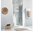 Porte de douche coulissante l.102 x H.190 x Ep.0,06 cm X1