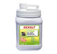 Pompe gel main microbilles citron 1 L - AEXALT