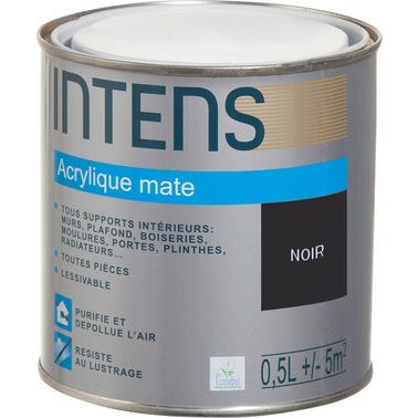Peinture intérieure multi-supports acrylique monocouche mate noir 0,5 L - INTENS 0