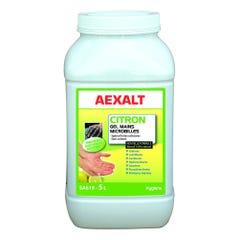 Bidon gel main microbilles citron 5 L - AEXALT 0