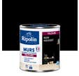 Peinture intérieure multi-supports acrylique velours noir houvert 0,5 L Esprit déco - RIPOLIN