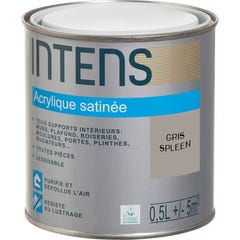 Peinture intérieure multi-supports acrylique monocouche satin gris spleen 0,5 L - INTENS 0