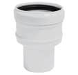Réduction 80 femelle x 60 mâle blanc APOLLO PP