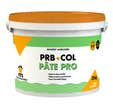 Colle carrelage en pâte 25 kg Pâte Pro - PRB