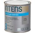 Peinture intérieure multi-supports acrylique monocouche satin gris acier 0,5 L - INTENS