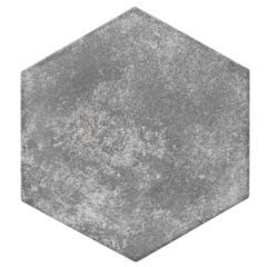 Carrelage sol extérieur effet pierre l.20 x L.24 cm - Décor Pompeia Gris 0