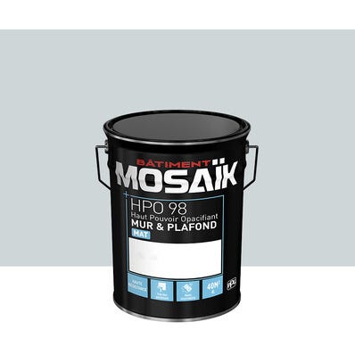 Peinture intérieure mat gris pluton teintée en machine 4L HPO - MOSAIK 1