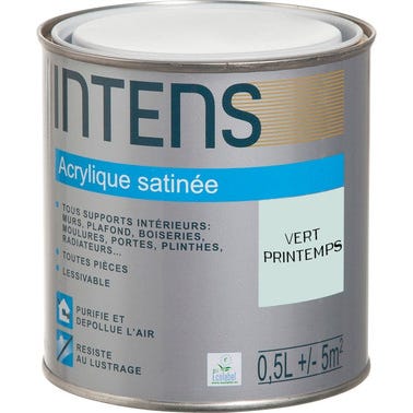 Peinture intérieure multi-supports acrylique monocouche satin vert printemps 0,5 L - INTENS 0