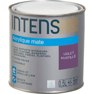 Peinture intérieure multi-supports acrylique monocouche mate violet myrtille 0,5 L - INTENS 0