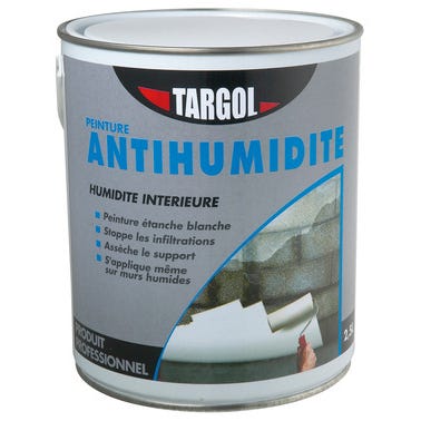 Peinture antihumidité 2,5 L - TARGOL 0