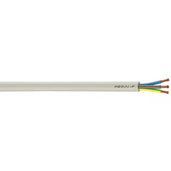 Cable électrique HO3VVF 3x0,75 mm² blanc 10 m - NEXANS FRANCE  0