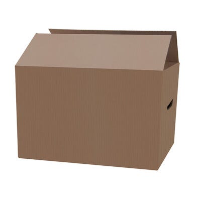 Carton emballage 54L l.60 x P.30 x H.30 cm 0