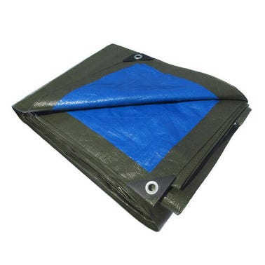 Bache de protection verte / bleue 140 gr l.5 x L.8 m  0