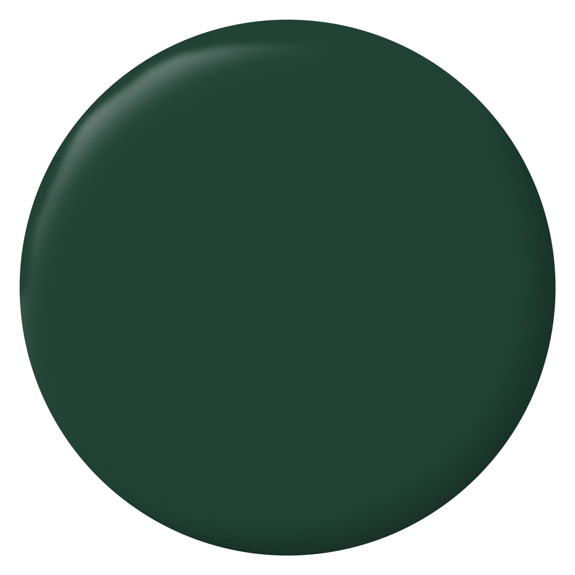 Peinture intérieure et extérieure multi-supports glycéro satin vert basque 2 L - RIPOLIN 1