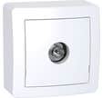 Prise TV simple mâle blanc Alrea - SCHNEIDER ELECTRIC