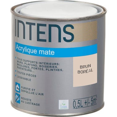 Peinture intérieure multi-supports acrylique monocouche mate brun boreal 0,5 L - INTENS 0
