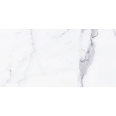Carrelage de sol et murs intérieurs blanc brillant effet marbre l.30 x L.60 cm Palais