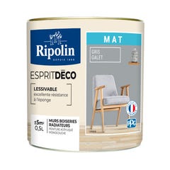 Peinture intérieure multi-supports acrylique mat gris galet 0,5 L Esprit déco - RIPOLIN 2