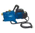 Pompe de surface Tallas G100 1080 W.