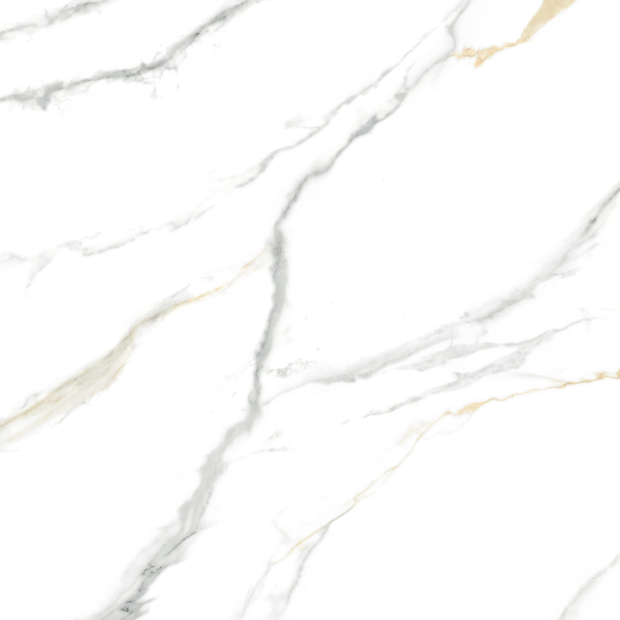Carrelage sol intérieur effet marbre l.60x L.60cm - Salamanca 1