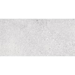 Carrelage sol extérieur effet pierre l.30 x L.60 cm Stone Light Grey