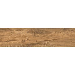 Carrelage de sol intérieur effet bois  l.22 x L.90 cm Passion Naturel