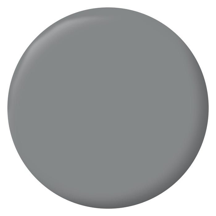 Peinture intérieure et extérieure multi-supports glycéro satin gris acier 0,5 L - RIPOLIN 1