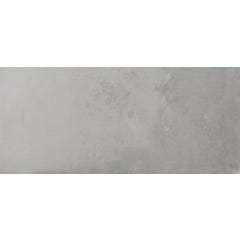 Carrelage intérieur sol et mur gris effet béton l.30 x L.60 cm San Francisco Grey