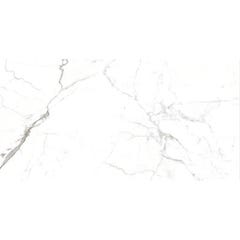 Carrelage de sol intérieur L.60 x l.120 cm Calacatta blanc
