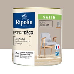 Peinture intérieure multi-supports acrylique satin poivre sichuan 0,5 L Esprit déco - RIPOLIN  0