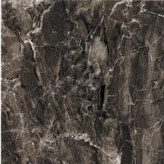 Carrelage intérieur effet marbre brillant l.45 x L.45 cm Dabo marengo 2