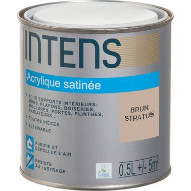 Peinture intérieure multi-supports acrylique monocouche satin brun stratus 0,5 L - INTENS 0