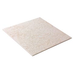 DALLE PLAFOND MOD LE SAUMON Bricoman DALLE PLAFOND MOD LE SAUMON Bricoman