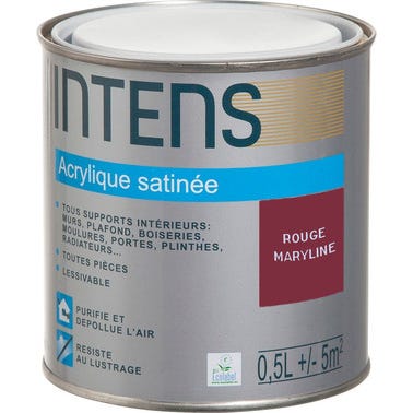 Peinture intérieure multi-supports acrylique monocouche satin rouge marylin 0,5 L - INTENS 0
