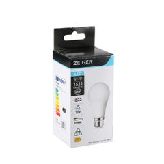 Ampoule LED B22 blanc chaud - ZEIGER 1