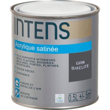 Peinture intérieure multi-supports acrylique monocouche satin gris bakélite 0,5 L - INTENS 0