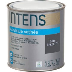 Peinture intérieure multi-supports acrylique monocouche satin gris bakélite 0,5 L - INTENS