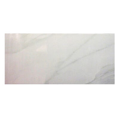 Faïence gris effet marbre l.20 x L.45 cm Carrara 1