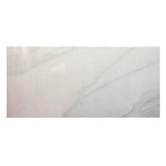 Faïence gris effet marbre l.20 x L.45 cm Carrara 1