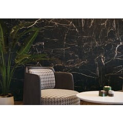 Carrelage intérieur de sol et murs noir mat effet marbre l.60 x L.120 cm Marquina Gold 1