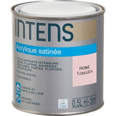 Peinture intérieure multi-supports acrylique monocouche satin rose tarama 0,5 L - INTENS 0