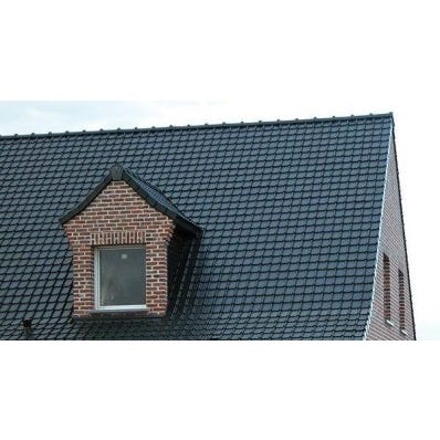 Tuile Tc Monopole 1 Noir Brillant Bricoman