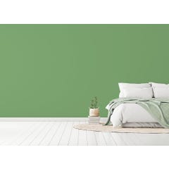 Peinture intérieure velours vert asaret teintée en machine 10 L Altea - GAUTHIER 5