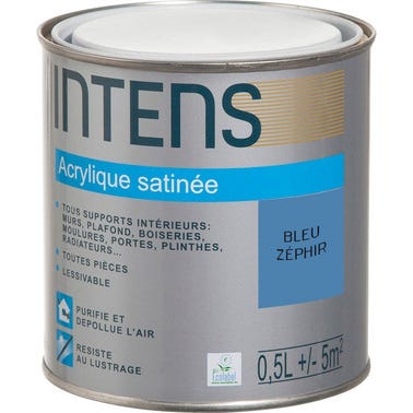 Peinture intérieure multi-supports acrylique monocouche satin bleu zéphir 0,5 L - INTENS 0