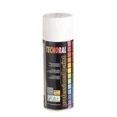 Peinture aérosol brillant blanc 400 ml - TECNORAL